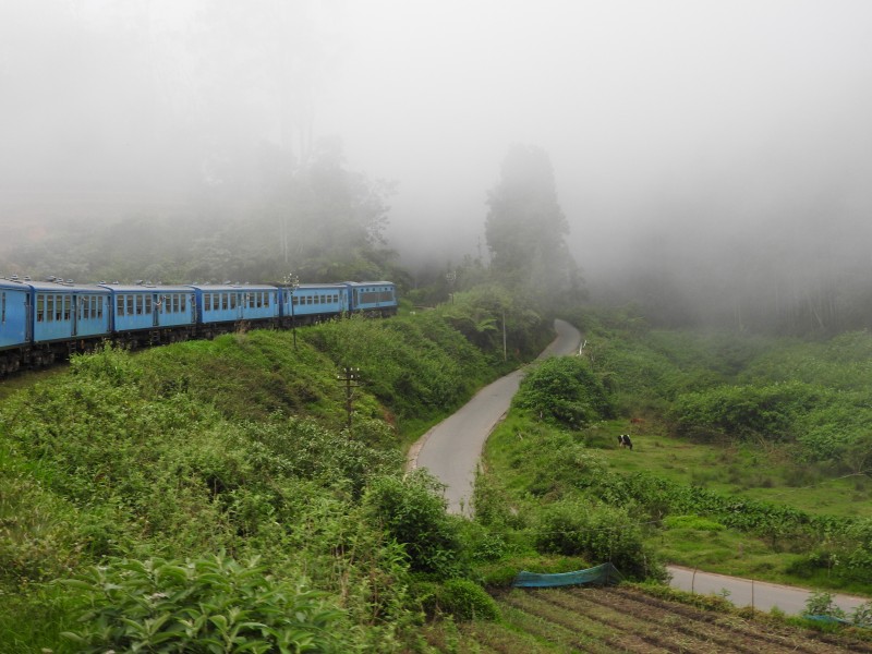 42 Treno Nanu Oya   Ella